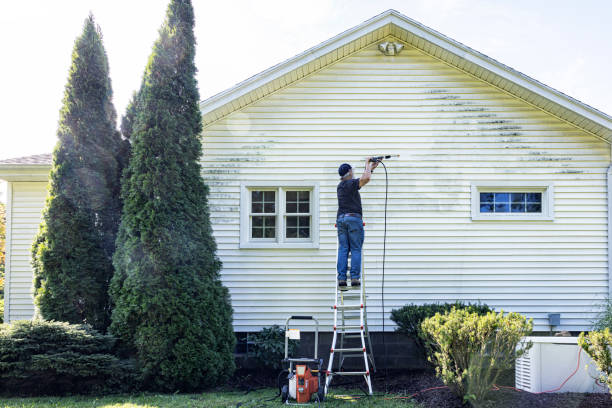 Best Building Exterior Washing  in Heyburn, ID